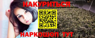 Альфа ПВП Аргун