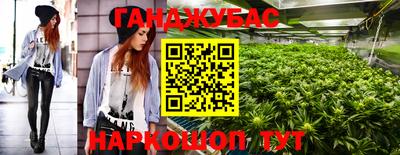 Альфа ПВП Аргун