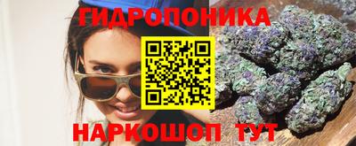 Альфа ПВП Аргун