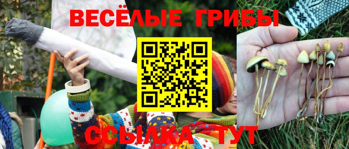 Псилоцибиновые грибы мицелий  Псилоцибиновые грибы ЛСД  Вход с VPN  Ачхой-Мартан 